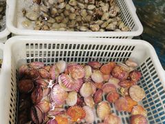 -87号烧烤海鲜·大排档(金沙滩店)