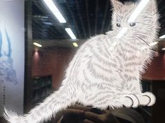 -厦门市图书馆(集美新城馆区)