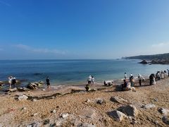 -养马岛旅游度假区