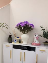 -WENDY·温迪皮肤管理