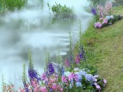 -人民公园(罗湖区)