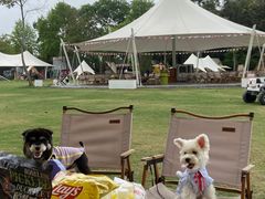 -云栖山谷露营地·团建年会·生日派对