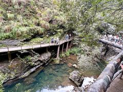 -石台牯牛降景区
