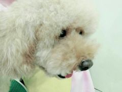 -佳雯宠物医院(四明中路分院)