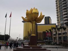 -金莲花广场