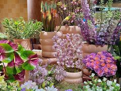 -BEAST野兽派(上海浦东嘉里城店)