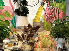 -弗劳尔花艺坊(龙涛店)