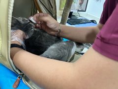 -艾贝尔宠物医院·24H转诊中心·肿瘤猫专科(江宁双龙店)