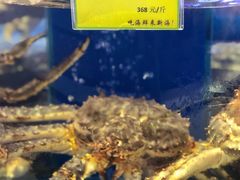-新海渔港·胶东海鲜家常菜·家宴(奥体中心店)