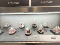 -ROSEONLY诺誓(广州K11店)