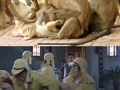 -昆明动物园