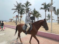 -玫瑰海岸文化旅游度假区