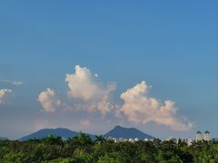 -厦门园林博览苑