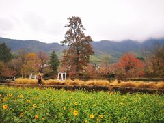 -塔川景区