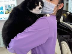 -北京观赏动物医院·24小时大型综合·猫专科·异宠专科