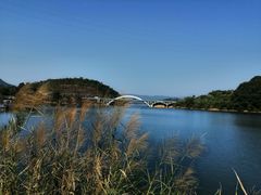 -广州市流溪河国家森林公园