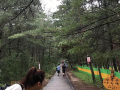 -帽儿山国家森林公园