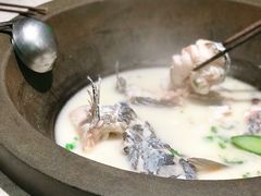 -鲜潭蒸汽石锅鱼(五道口购物中心店)