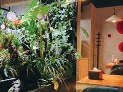 -森味薪火烧•烧鸟居酒屋•日本料理(望京店)