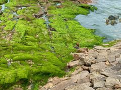 -青岛第二海水浴场