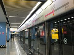 -大龙山(地铁站)