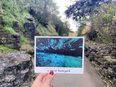 -怀托摩萤火虫洞