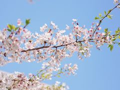 -龙美术馆(西岸馆)