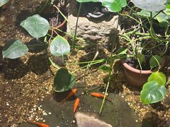 -邈墨茶馆(凤起路店)