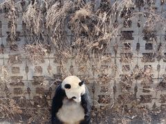 -沈阳森林动物园