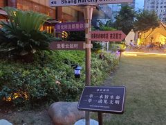 -SWAG·日咖夜酒·城市露营