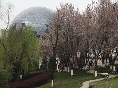 -陕西自然博物馆