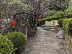 -崂山书院酒店