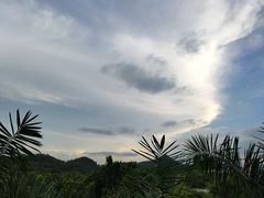 -番禺大夫山森林公园