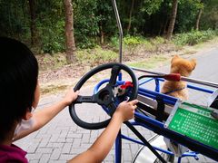 -上海海湾国家森林公园