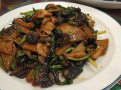 -闯关东东北农家菜(崂山石老人店)