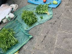 -南门绿玉农贸市场