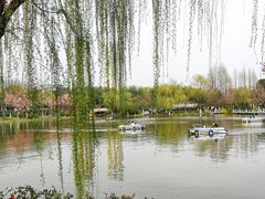 -荆川公园