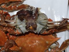 -云南巷海鲜大咖·可加工海鲜