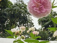 -人民公园(罗湖区)