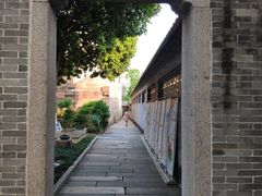 -碧江金楼