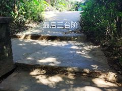 -海南铜鼓岭景区