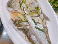 清蒸白鱼-观桥阁(锦溪店)