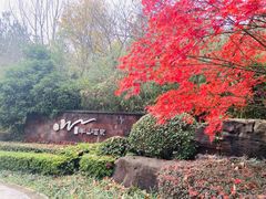 -天目湖涵田半山温泉