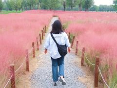 -汉长安城未央宫国家考古遗址公园