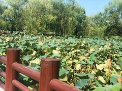 -长兴太湖图影湿地文化园