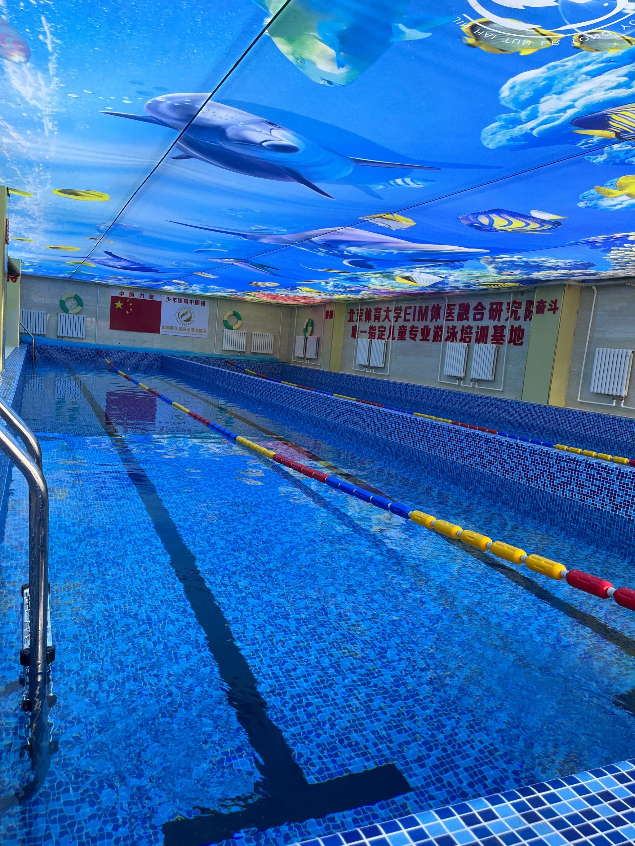 金海豚专业儿童游泳培训27年·纯儿童