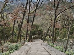 -子昂故里文化旅游区