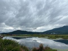 -腾冲北海湿地