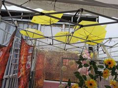 -天空花园餐吧·生日·团建(南山店)