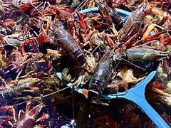 -聚盛源蒸汽海鲜火锅烤肉自助(巨川金海岸购物广场店)